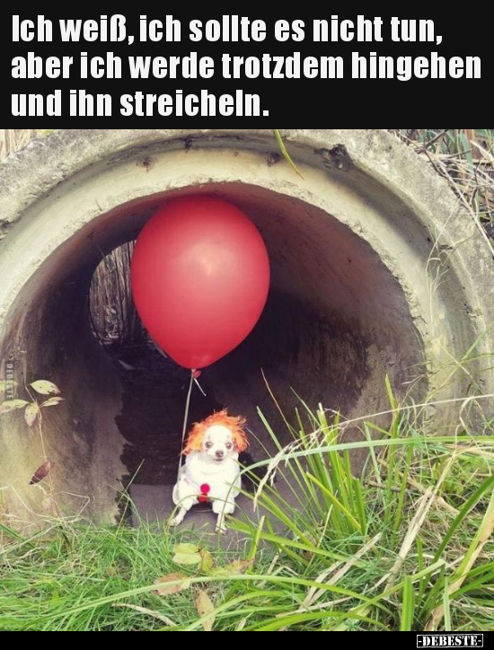 Ich weiß, ich sollte es nicht tun, aber ich werde trotzdem..