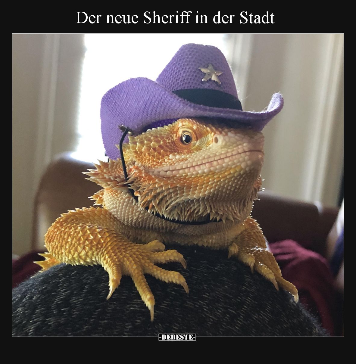 Der neue Sheriff in der Stadt.. - Lustige Bilder | DEBESTE.de