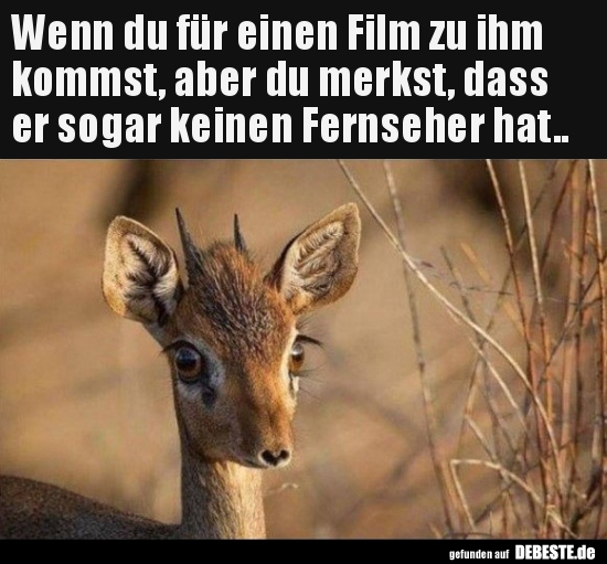Wenn du für einen Film zu ihm kommst, aber du merkst..