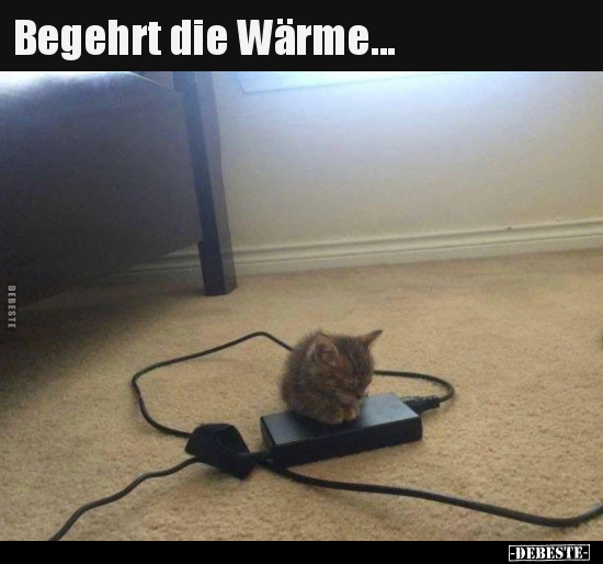 Begehrt die Wärme...