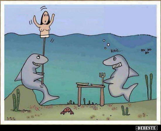  - Lustige Bilder | DEBESTE.de