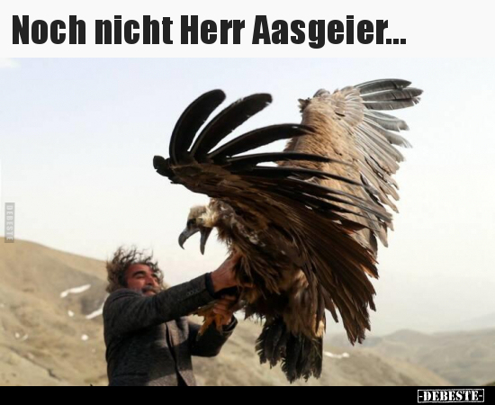 Noch nicht Herr Aasgeier... - Lustige Bilder | DEBESTE.de