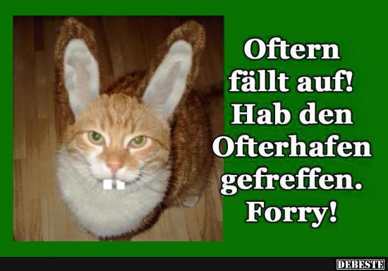 Oftern fällt auf!