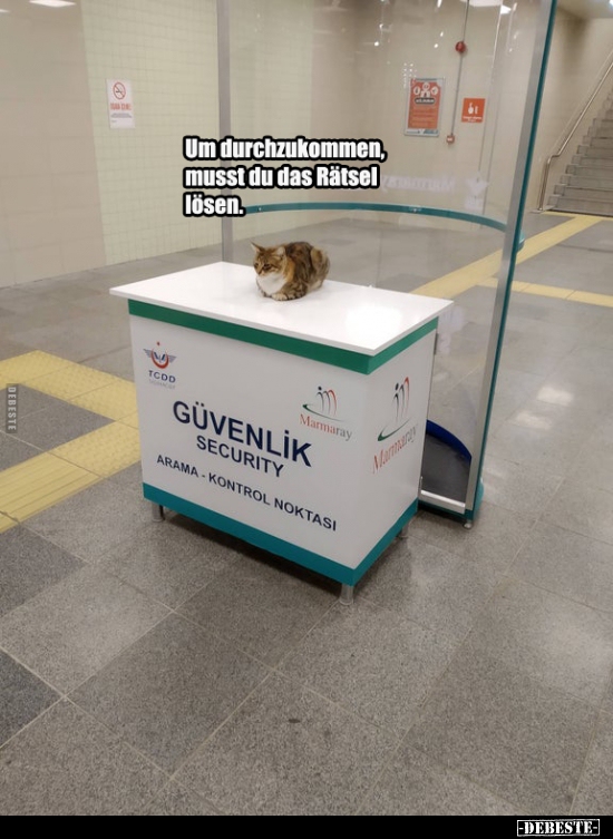 Um durchzukommen, musst du das Rätsel lösen...