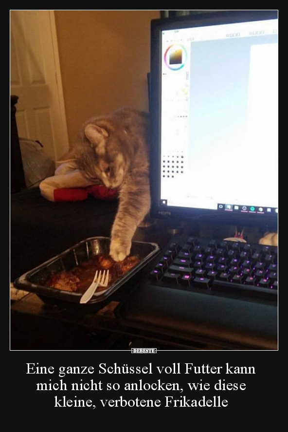 Eine ganze Schüssel voll Futter kann mich nicht so..