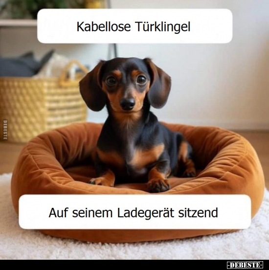 Kabellose Türklingel auf seinem Ladegerät sitzend.. - Lustige Bilder | DEBESTE.de