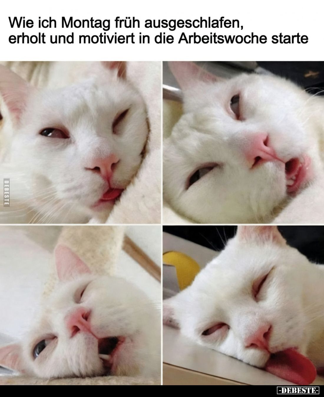 Wie ich Montag früh ausgeschlafen,
erholt und motiviert in die Arbeitswoche starte