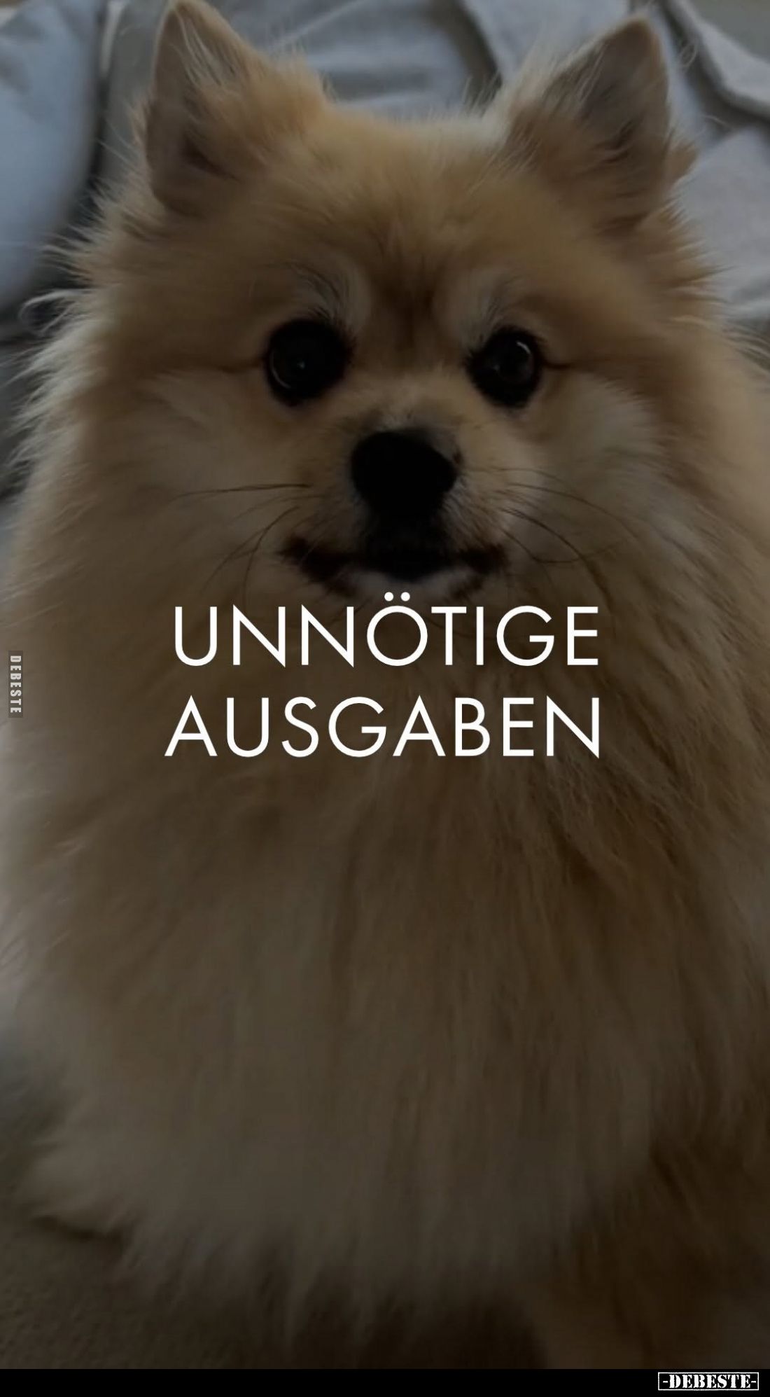Unnötige Ausgaben