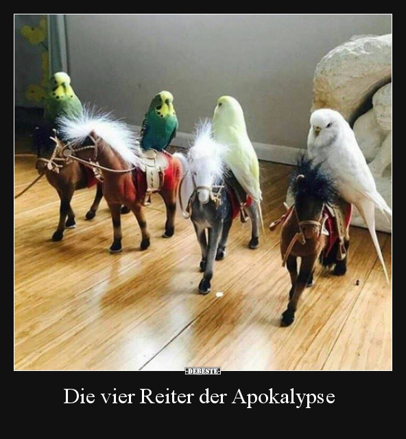 Die vier Reiter der Apokalypse.. - Lustige Bilder | DEBESTE.de