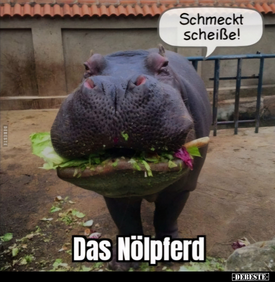 Schmeckt schei*ße!.. - Lustige Bilder | DEBESTE.de