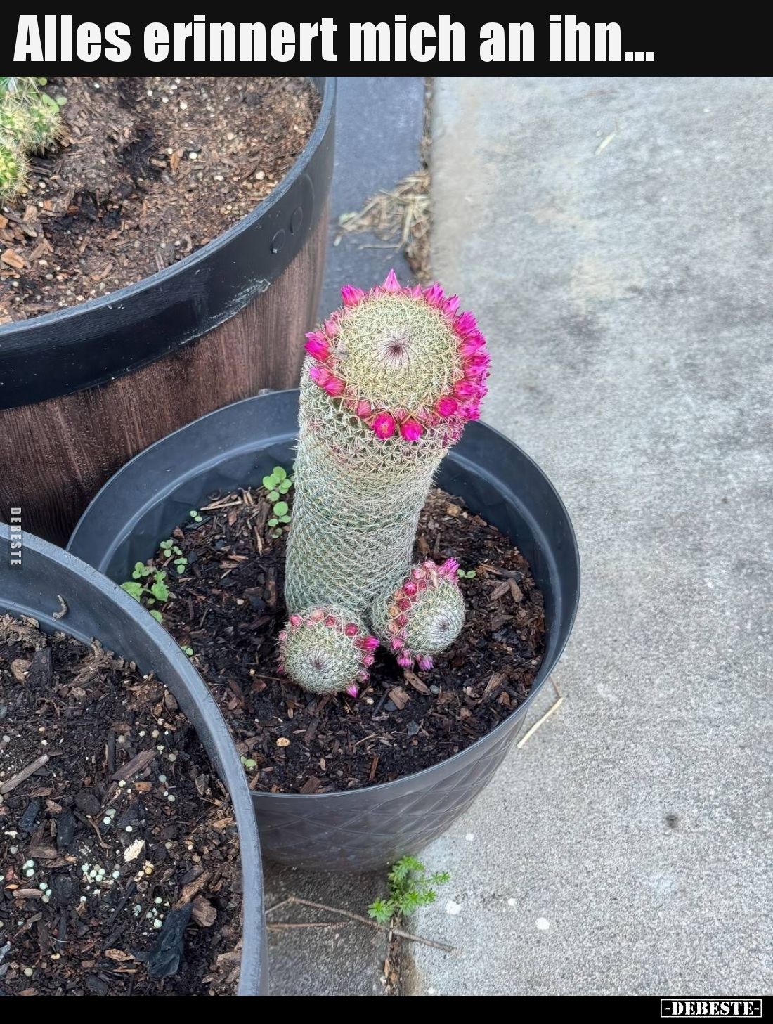 Alles erinnert mich an ihn...