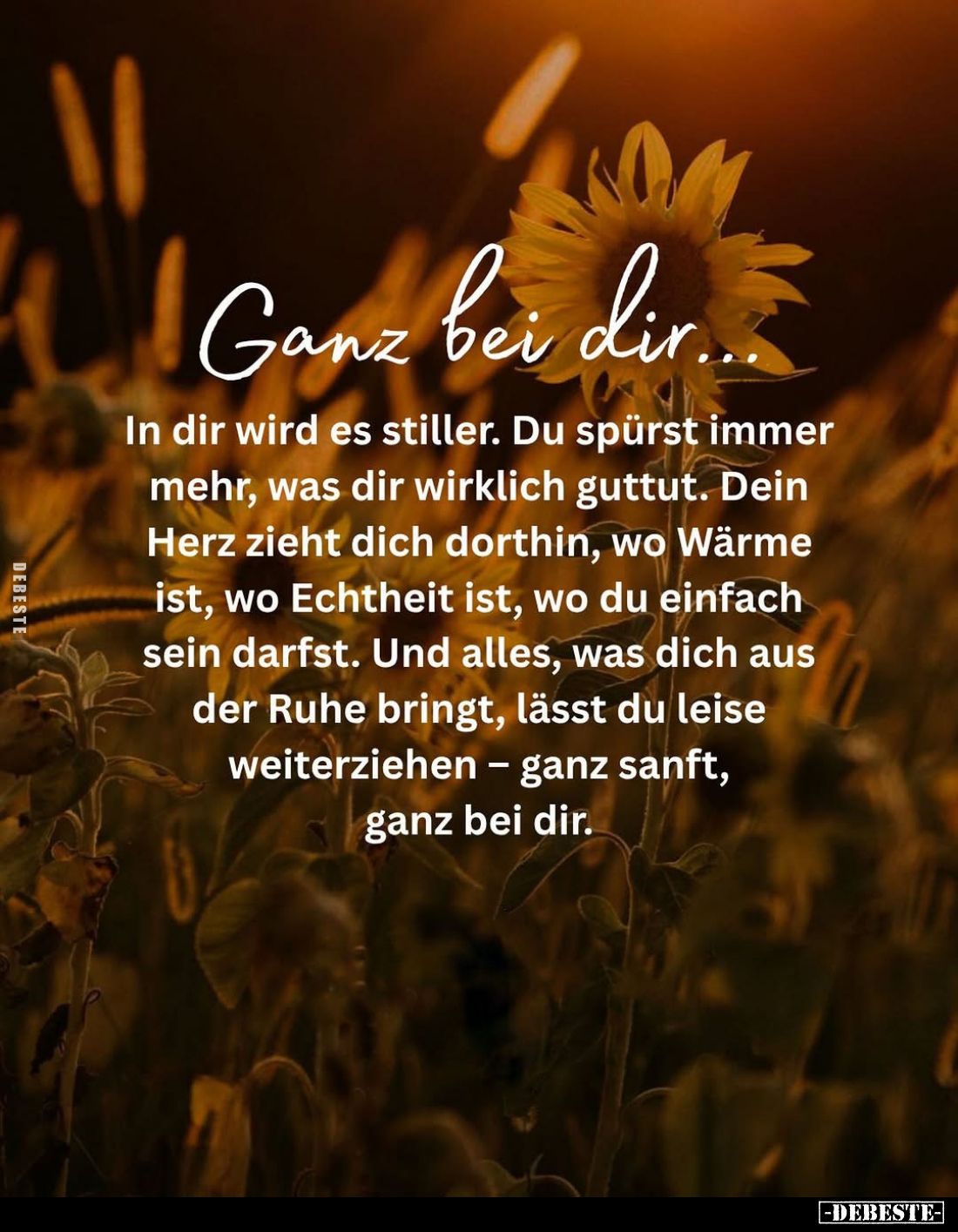 Ganz bei dir...
In dir wird es stiller. Du spürst immer mehr, was dir wirklich guttut. Dein Herz zieht dich dorthin, wo Wärm...