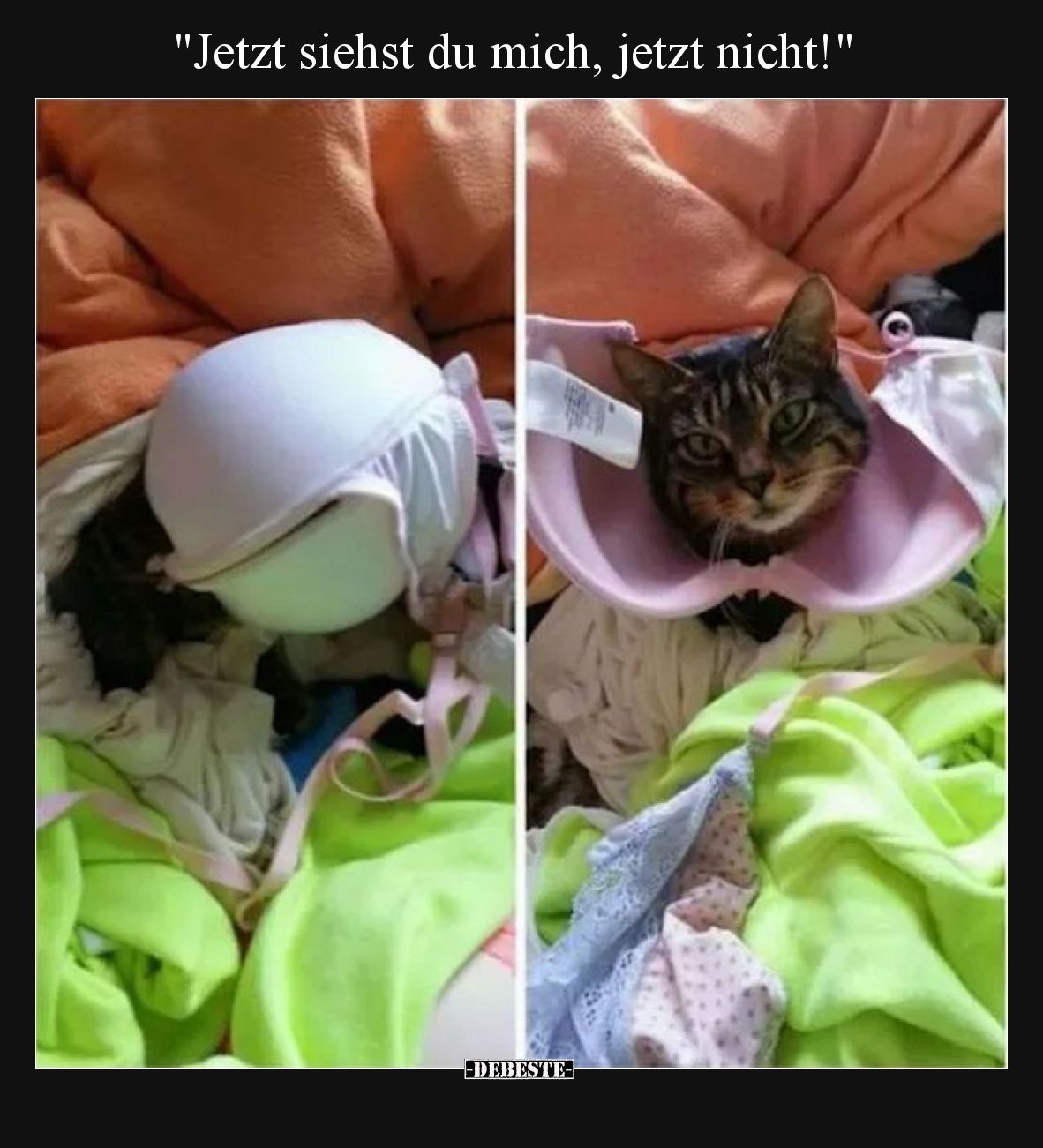 "Jetzt siehst du mich, jetzt nicht!"