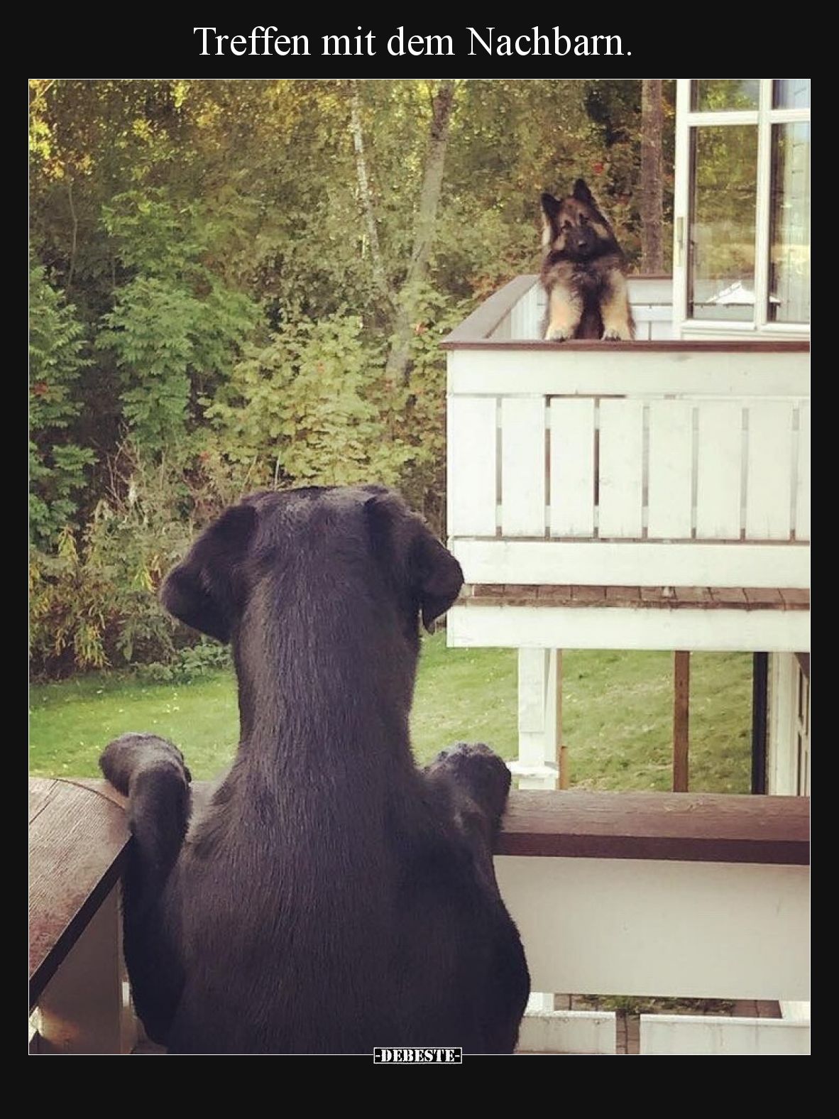 Treffen mit dem Nachbarn... - Lustige Bilder | DEBESTE.de