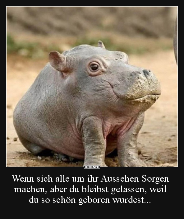 Lustige Bilder zum Thema: Machen, Sorgen