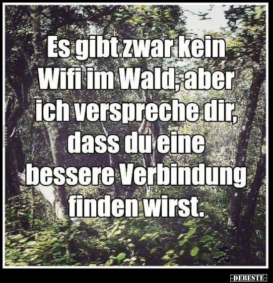 Wald