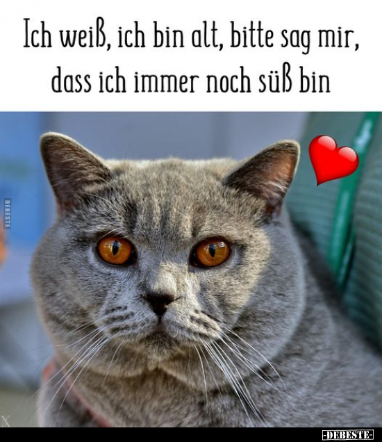 Ich weiß, ich bin alt, bitte sag mir, dass ich immer noch süß bin