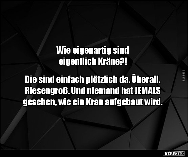 Wie eigenartig sind eigentlich Kräne?!.. - Lustige Bilder | DEBESTE.de