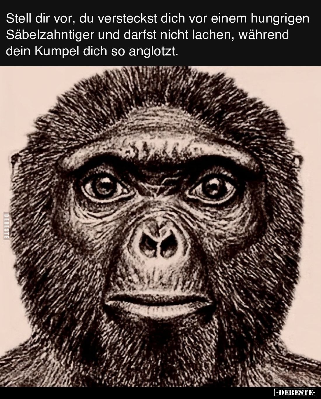 Stell dir vor, du versteckst dich vor einem hungrigen Säbelzahntiger und darfst nicht lachen, während dein Kumpel dich so ang...
