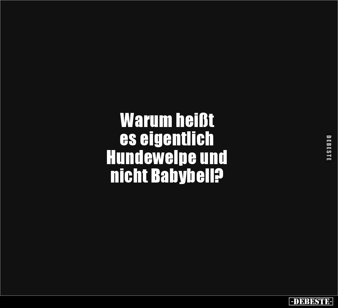 Warum heißt 
es eigentlich 
Hundewelpe und 
nicht Babybell?