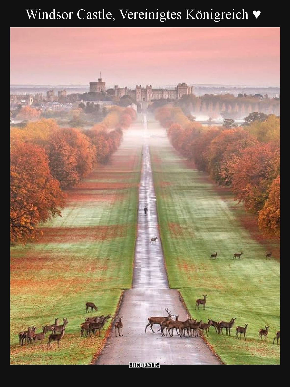 Windsor Castle, Vereinigtes Königreich ♥