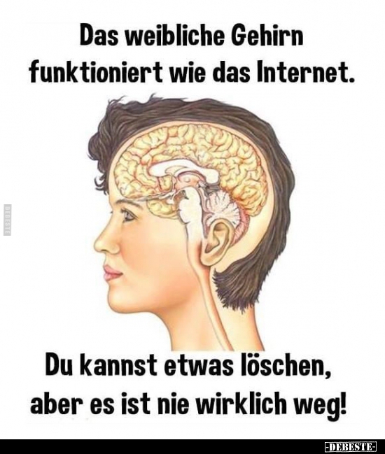 Das weibliche Gehirn funktioniert wie das Internet.. - Lustige Bilder | DEBESTE.de