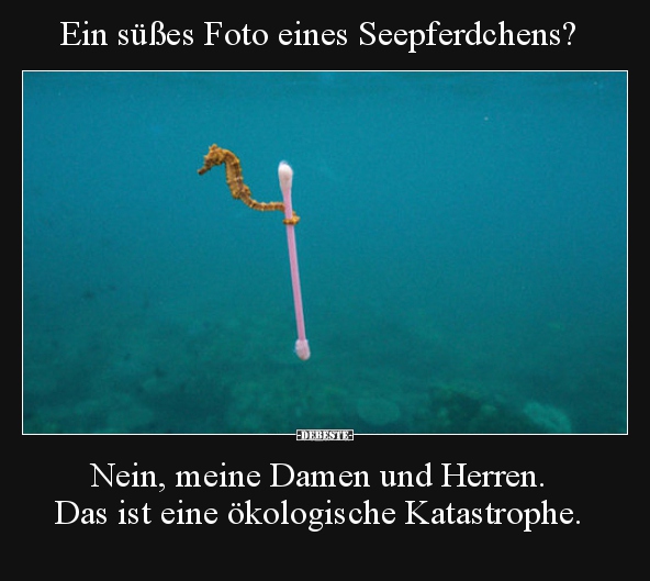 Ein süßes Foto eines Seepferdchens?.. - Lustige Bilder | DEBESTE.de