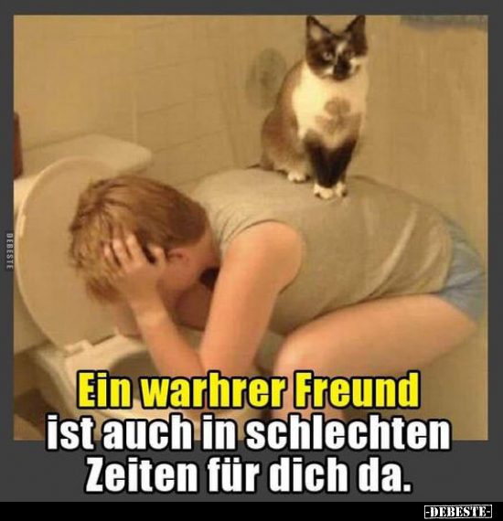 Ein warhrer Freund ist auch in schlechten Zeiten für dich da.. - Lustige Bilder | DEBESTE.de
