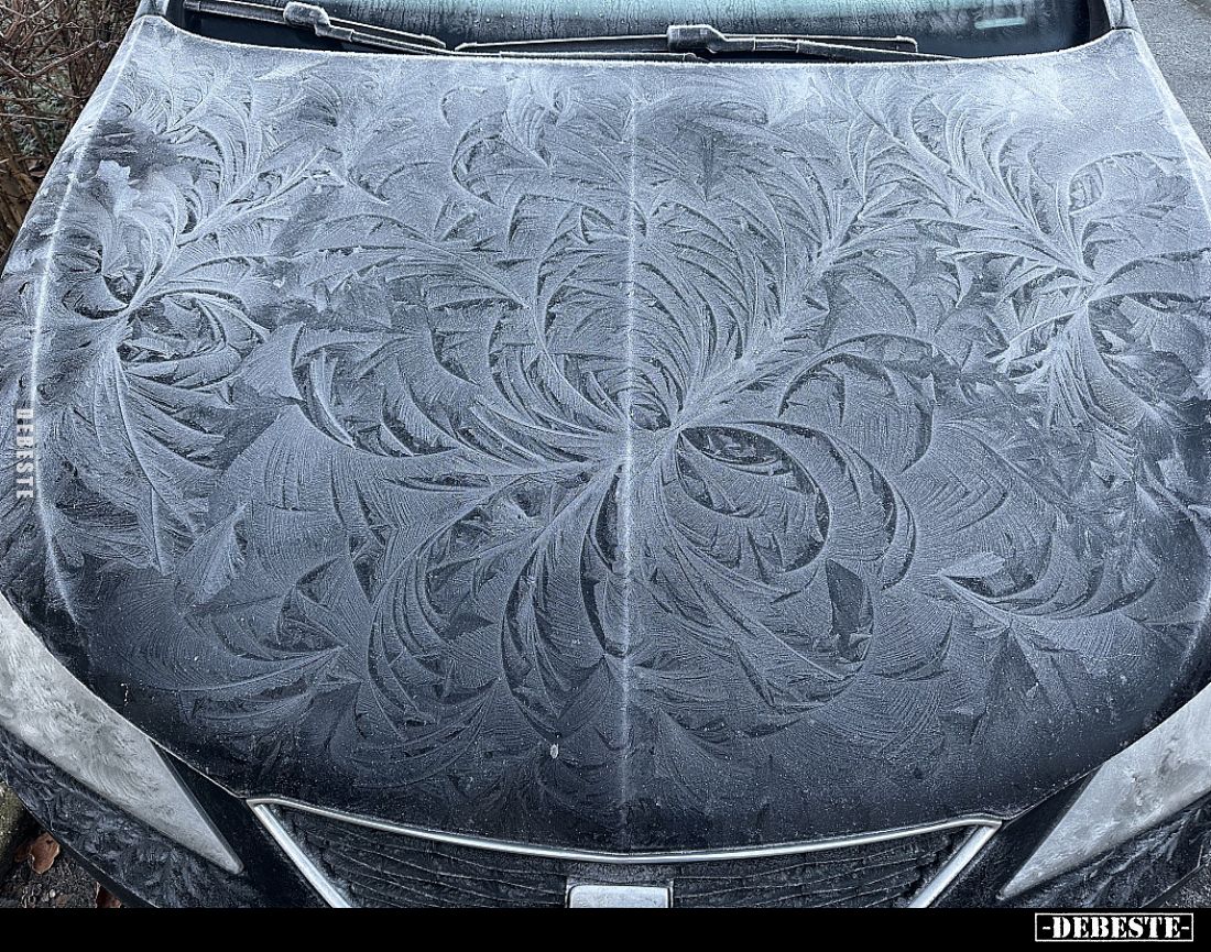 Natur du geiles Stück..