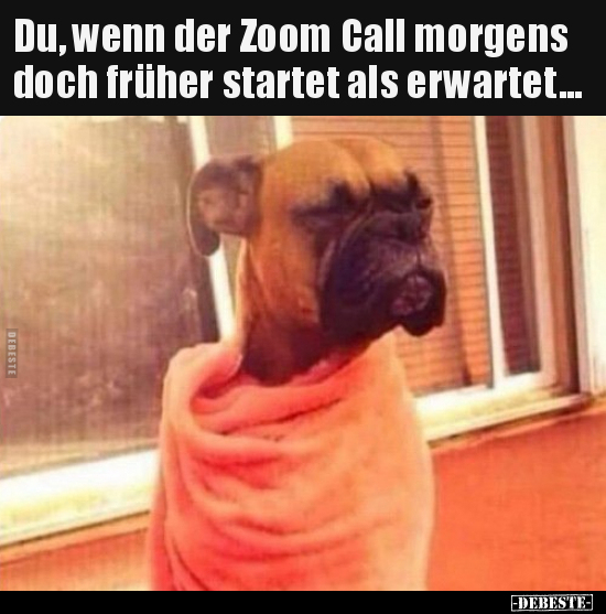Du, wenn der Zoom Call morgens doch früher startet als.. - Lustige Bilder | DEBESTE.de