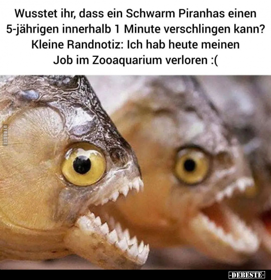 Wusstet ihr, dass ein Schwarm Piranhas einen 5-jährigen.. - Lustige Bilder | DEBESTE.de