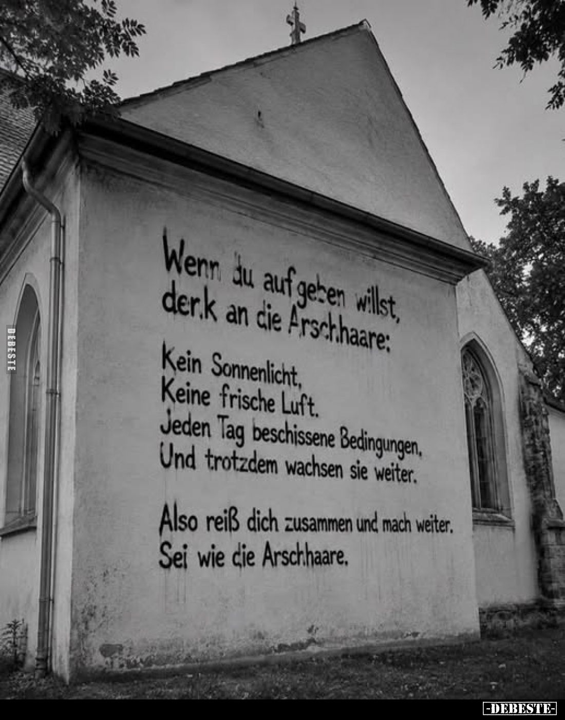Wenn du aufgeben willst, denk an die Arschhaare:
Kein Sonnenlicht, Keine frische Luft. Jeden Tag beschissene Bedingungen, Un...