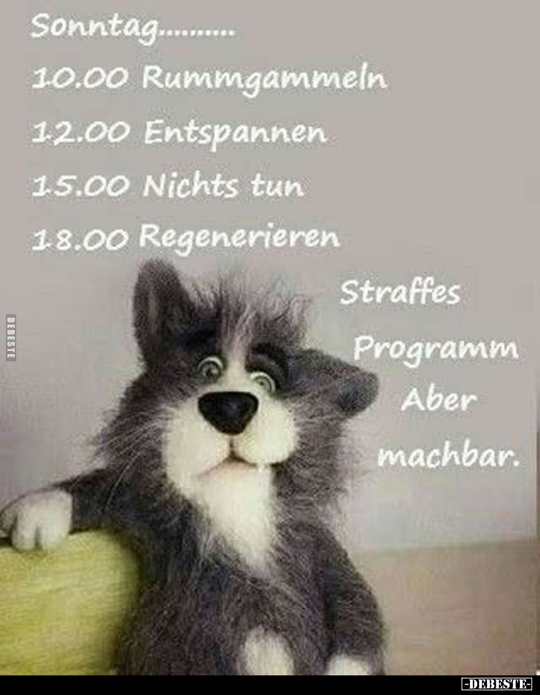 Sonntag...........
10.00 Rummgammeln
1.2.00 Entspannen
1.5.00 Nichts tun
1.8.00 Regenerieren
Straffes Programm Aber mach...