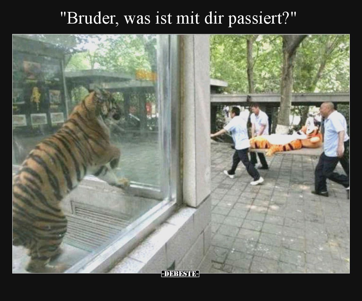 Bruder, was ist mit dir passiert?