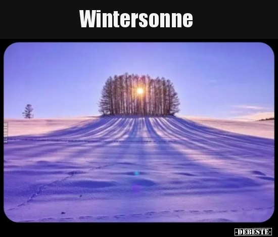 Wintersonne.. - Lustige Bilder | DEBESTE.de