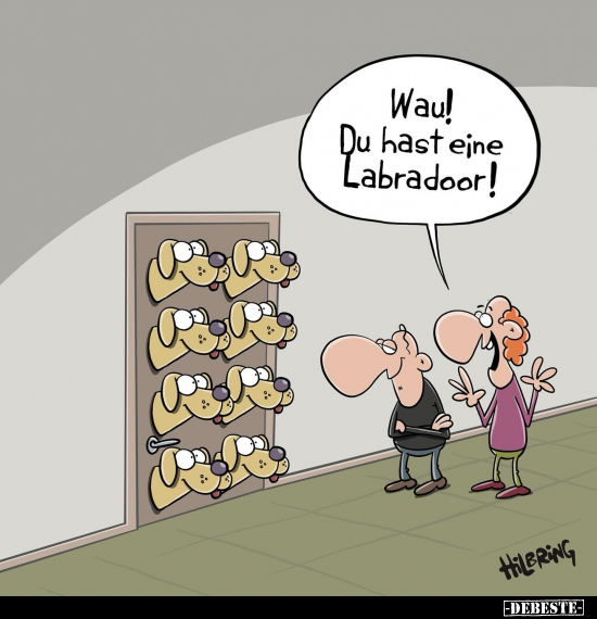 Wau! Du hast eine Labradoor!.. - Lustige Bilder | DEBESTE.de