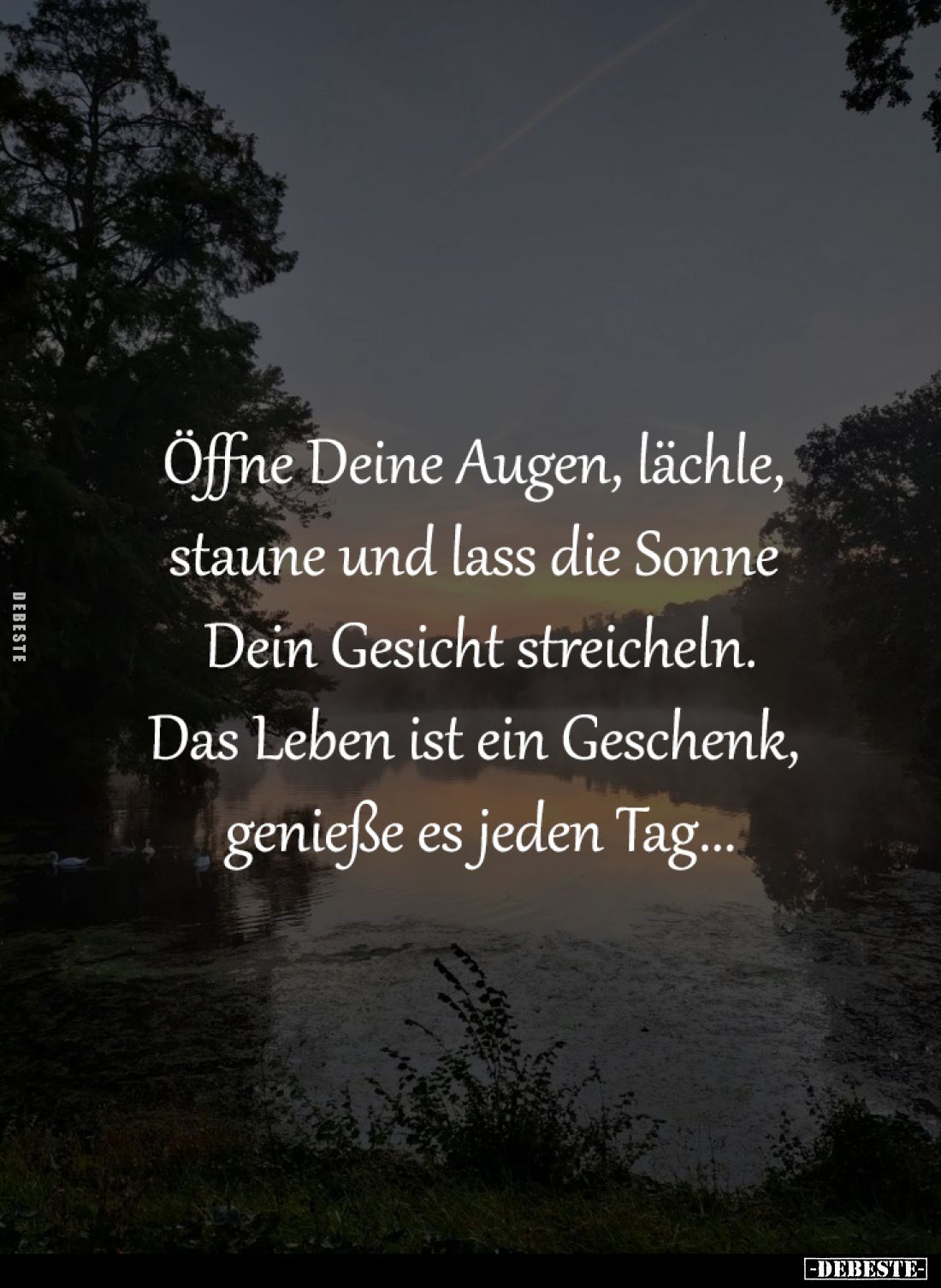 Öffne Deine Augen, lächle, 
staune und lass die Sonne 
Dein Gesicht streicheln.
Das Leben ist ein Geschenk, 
genieße es j...