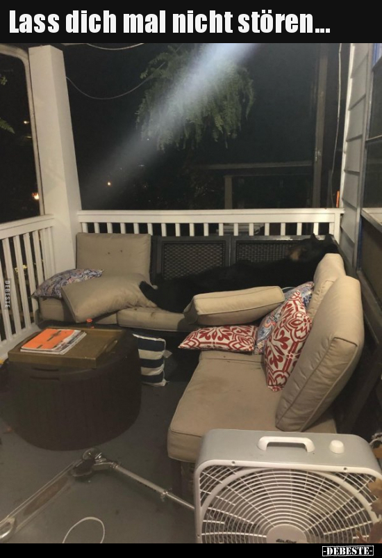 Lass dich mal nicht stören...