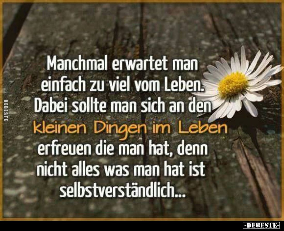 Manchmal erwartet man einfach zu viel vom Leben. Dabei sollte man sich an den kleinen Dingen im Leben erfreuen die man hat, d...