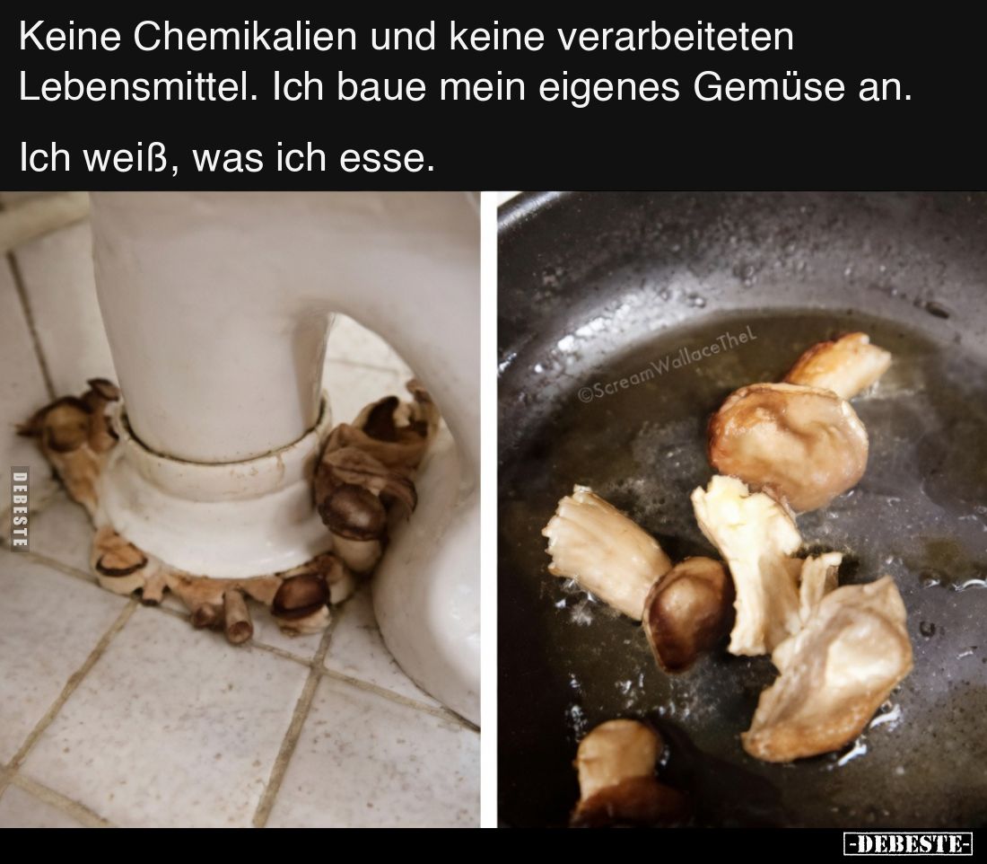 Keine Chemikalien und keine verarbeiteten Lebensmittel... - Lustige Bilder | DEBESTE.de