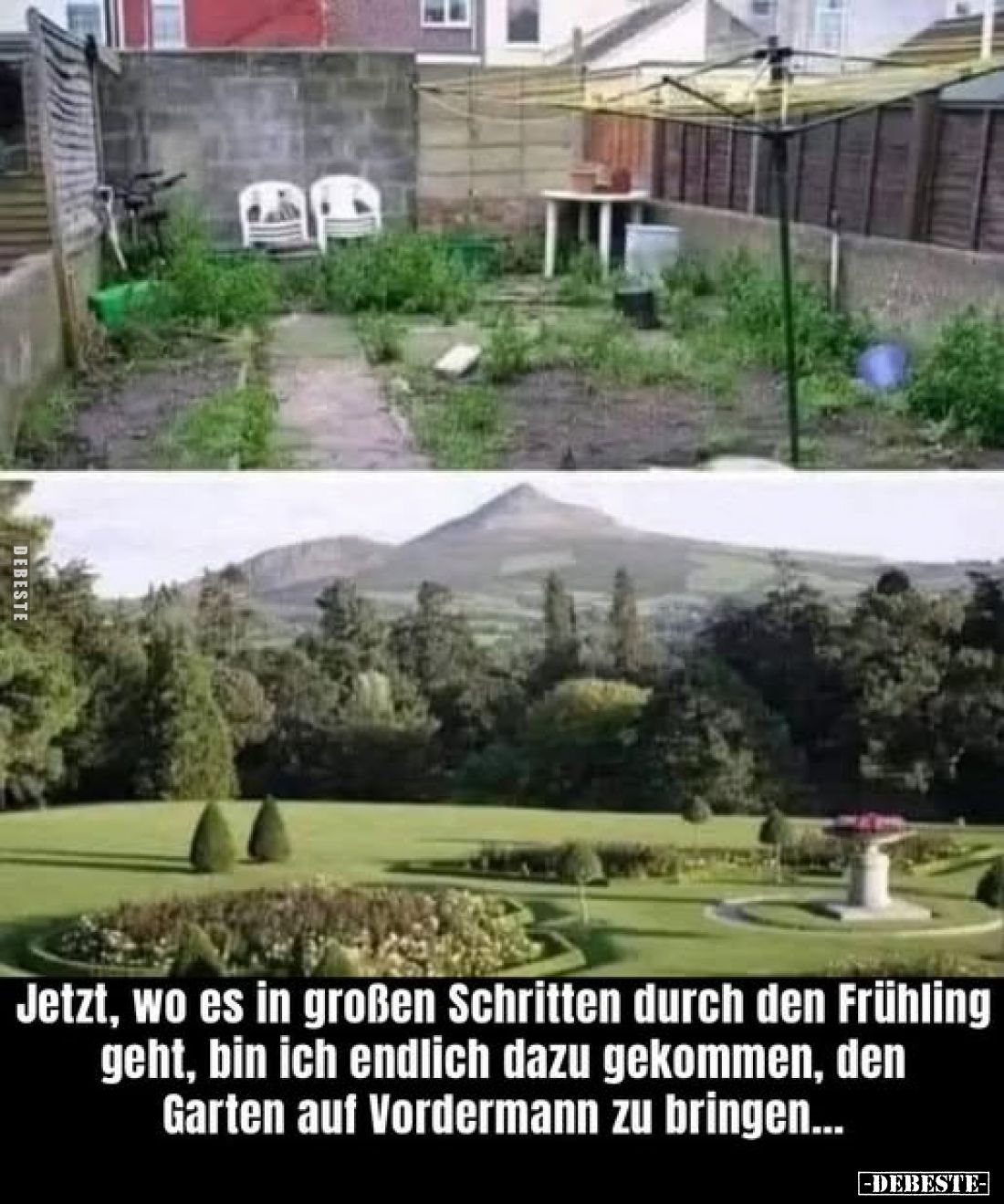 Jetzt, wo es in großen Schritten durch den Frühling geht, bin ich endlich dazu gekommen, den Garten auf Vordermann zu bringen...