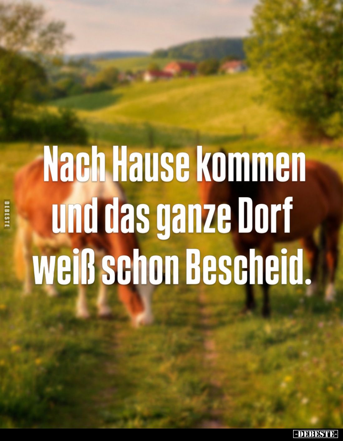 Nach Hause kommen und das ganze Dorf weiß schon Bescheid.