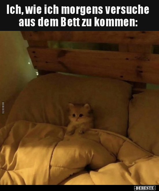 Ich, wie ich morgens versuche aus dem Bett zu kommen.. - Lustige Bilder | DEBESTE.de