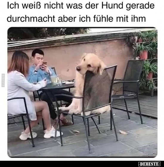 Ich weiß nicht was der Hund gerade durchmacht aber ich..