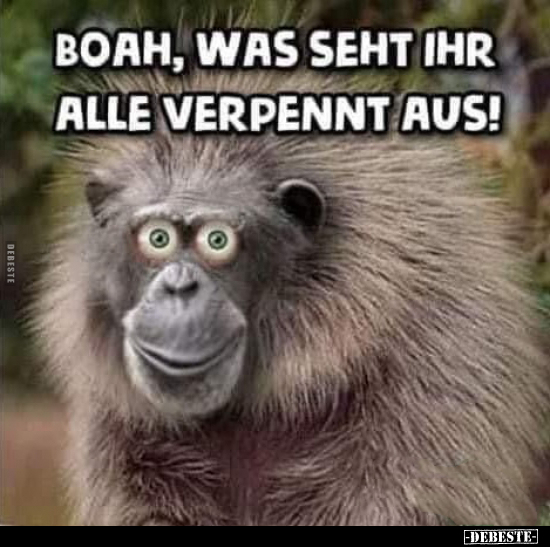 Boah, was seht ihr alle verpennt aus!