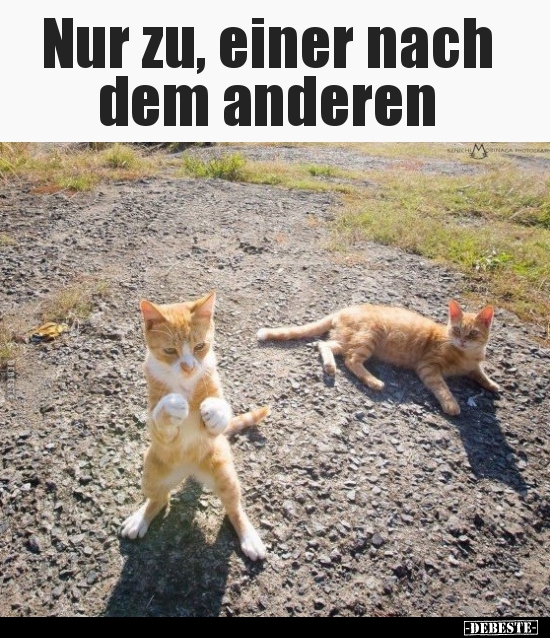 Nur zu, einer nach dem anderen..