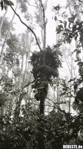 Wer hasst es nicht...