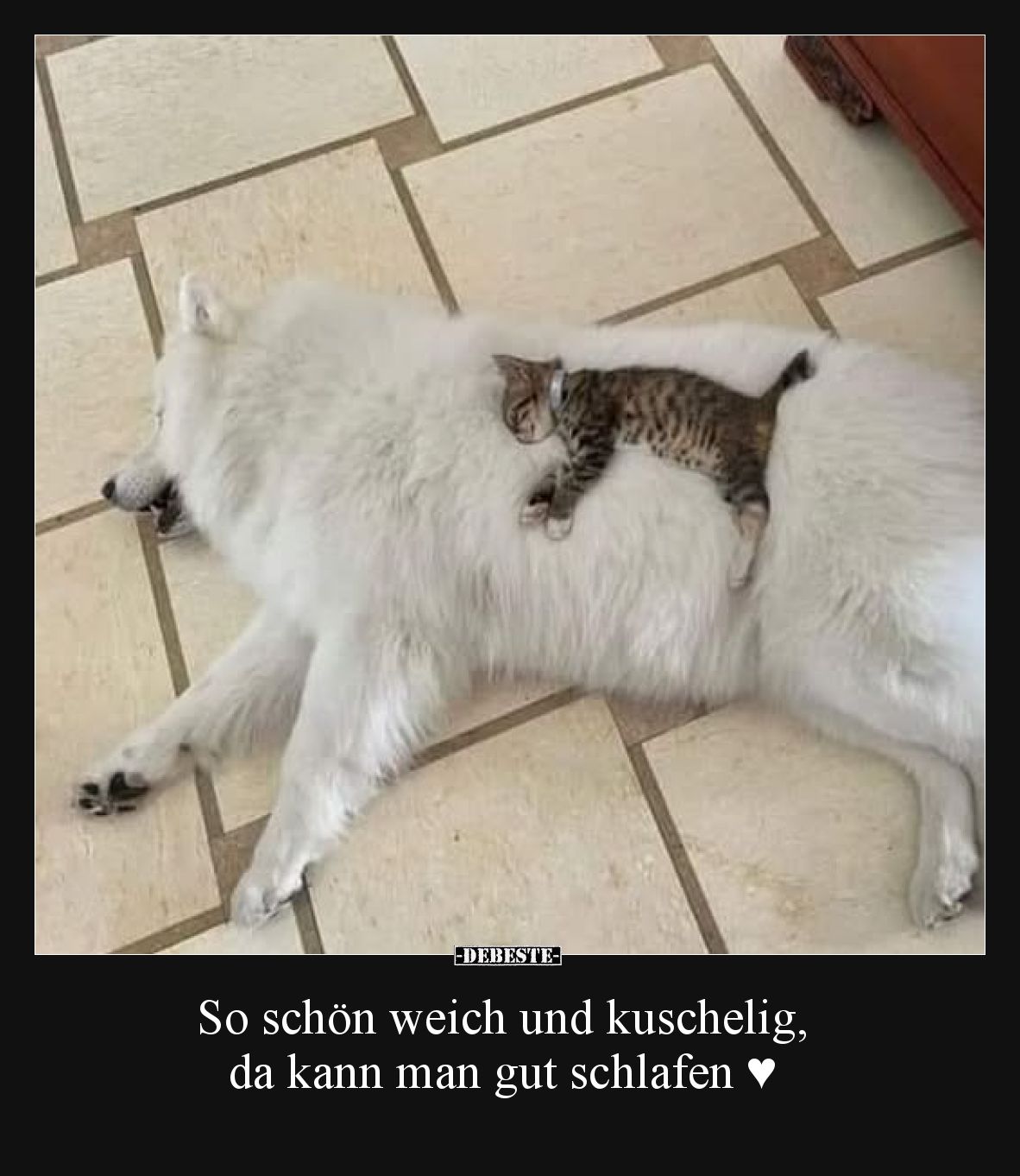 So schön weich und kuschelig, da kann man gut schlafen.