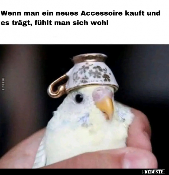 Wenn man ein neues Accessoire kauft und es trägt, fühlt man.. - Lustige Bilder | DEBESTE.de