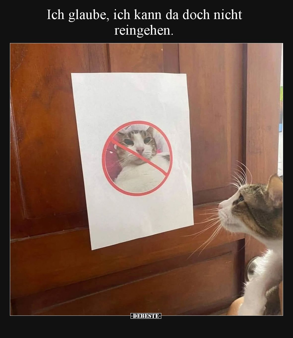 Ich glaube, ich kann da doch nicht reingehen.